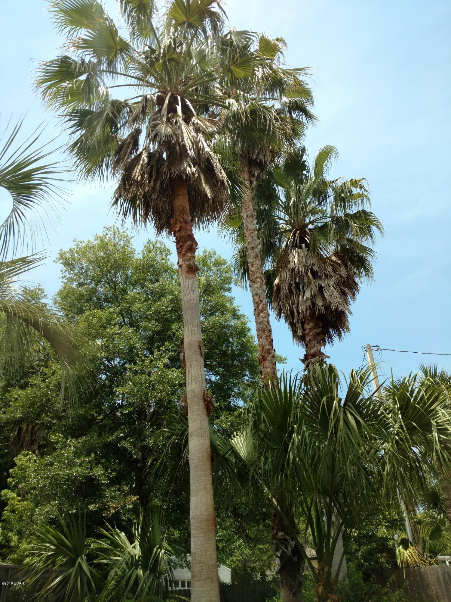 Oakland Terrace Add - Residential