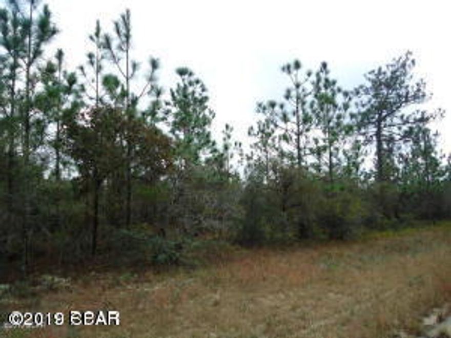 Great building lot in Sunny Hills. The peace and quite of country living. This community has a great golf course and several lakes for fishing and swimming.