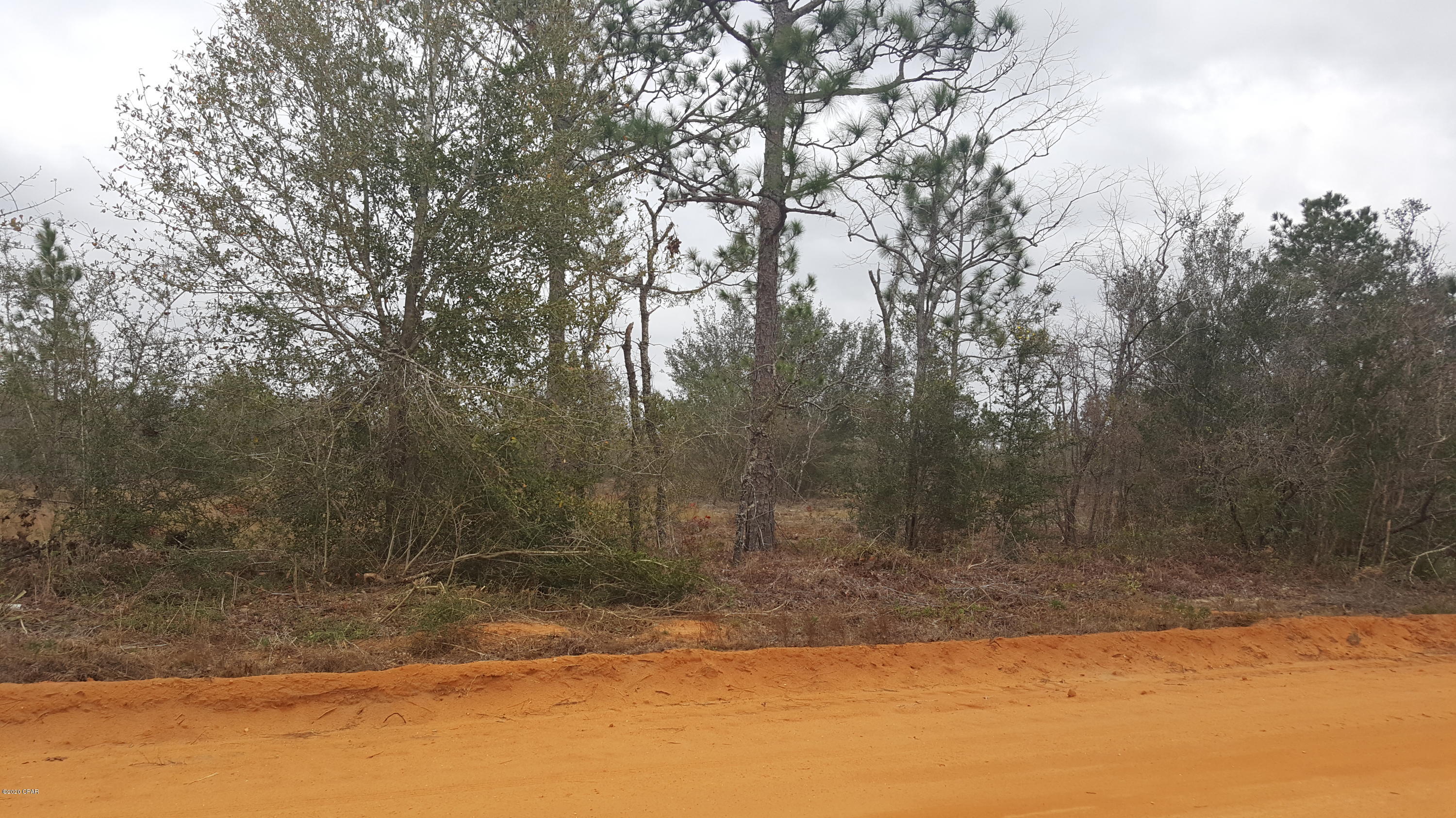 Buckhorn Creek - Land