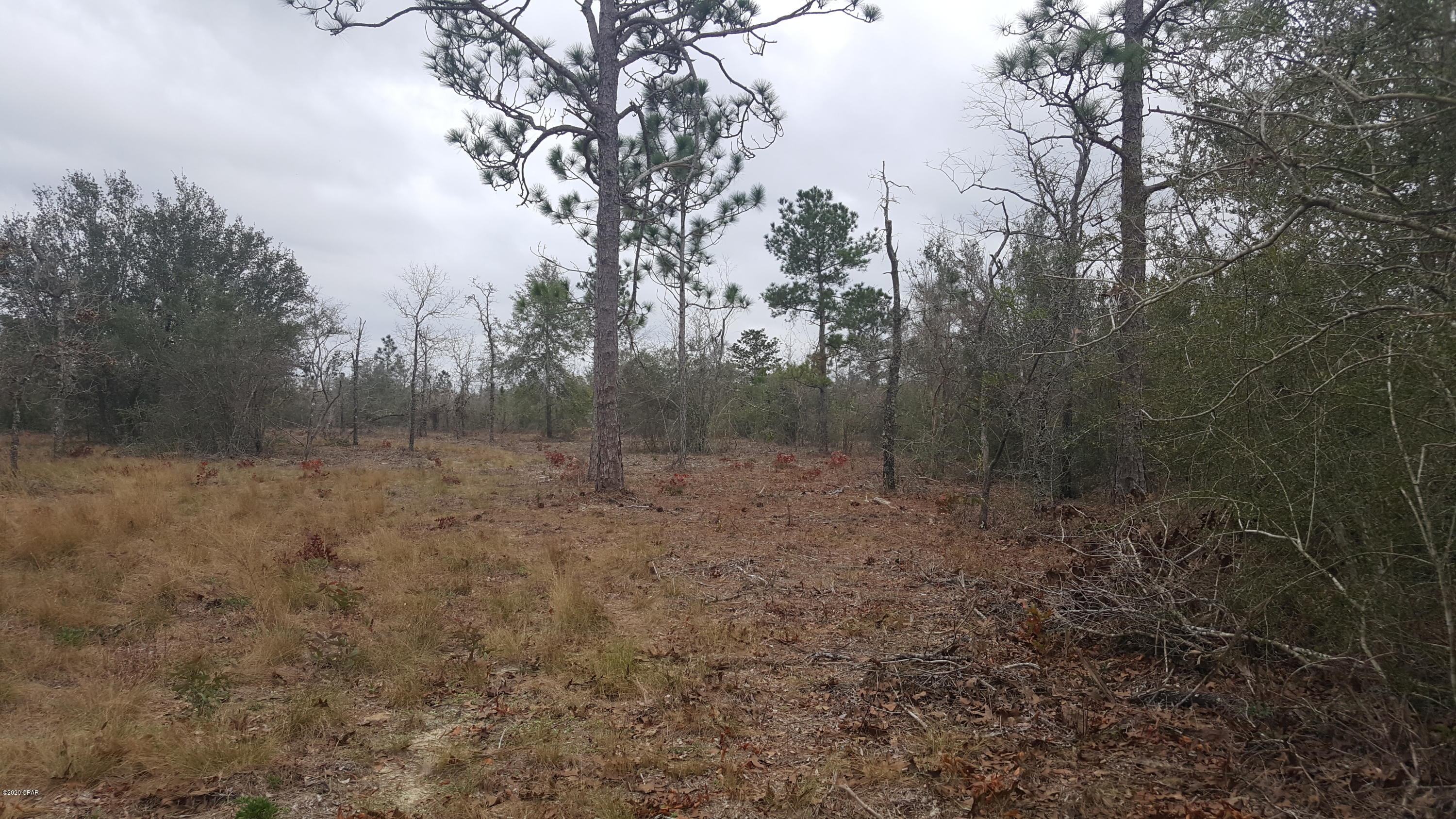 Buckhorn Creek - Land