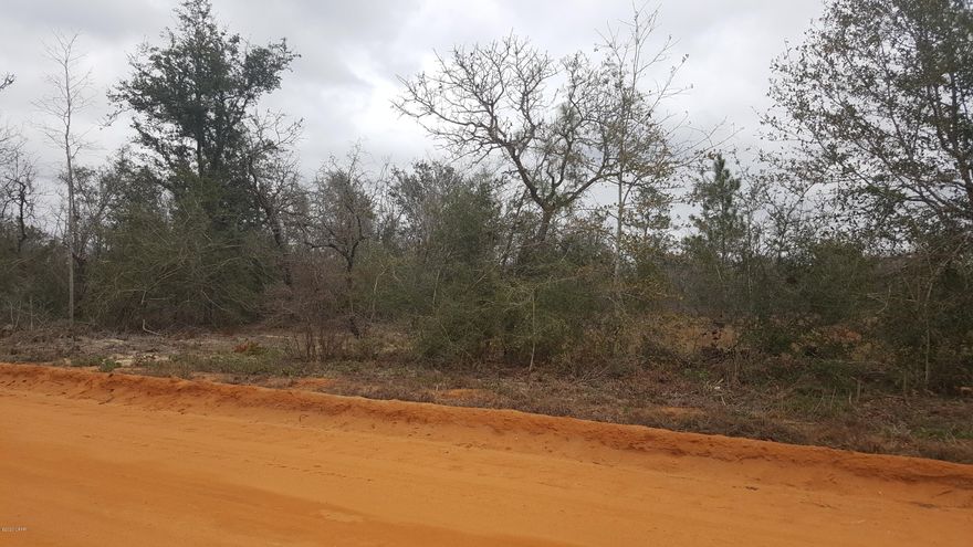 This 2.62 acres in south Washington County is mostly cleared and ready to build or put a mobile home on. Property is on a county maintained clay dirt road and is considered undeveloped land , buyer will need to go to planning and zoning for details before putting a home on property. Good hunting and fishing in the area, about 18 miles to Chipley, 28 to Panama City.
