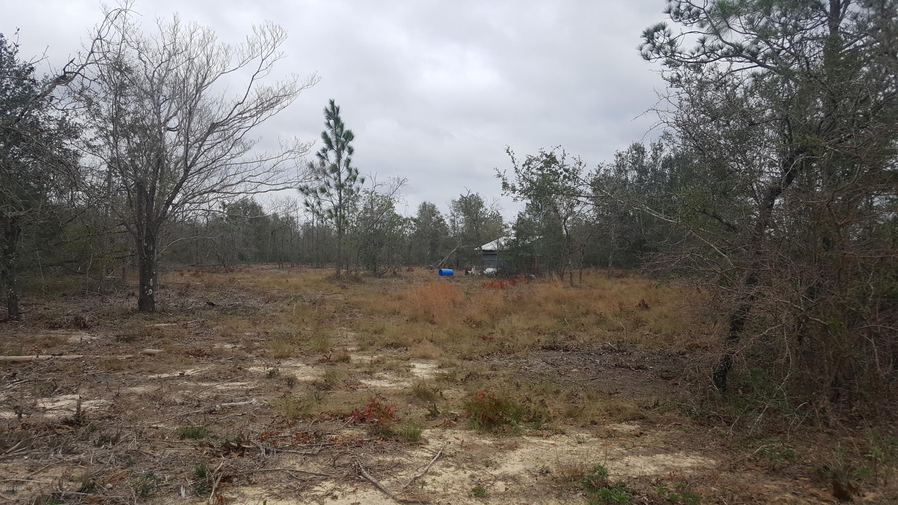 Buckhorn Creek - Land