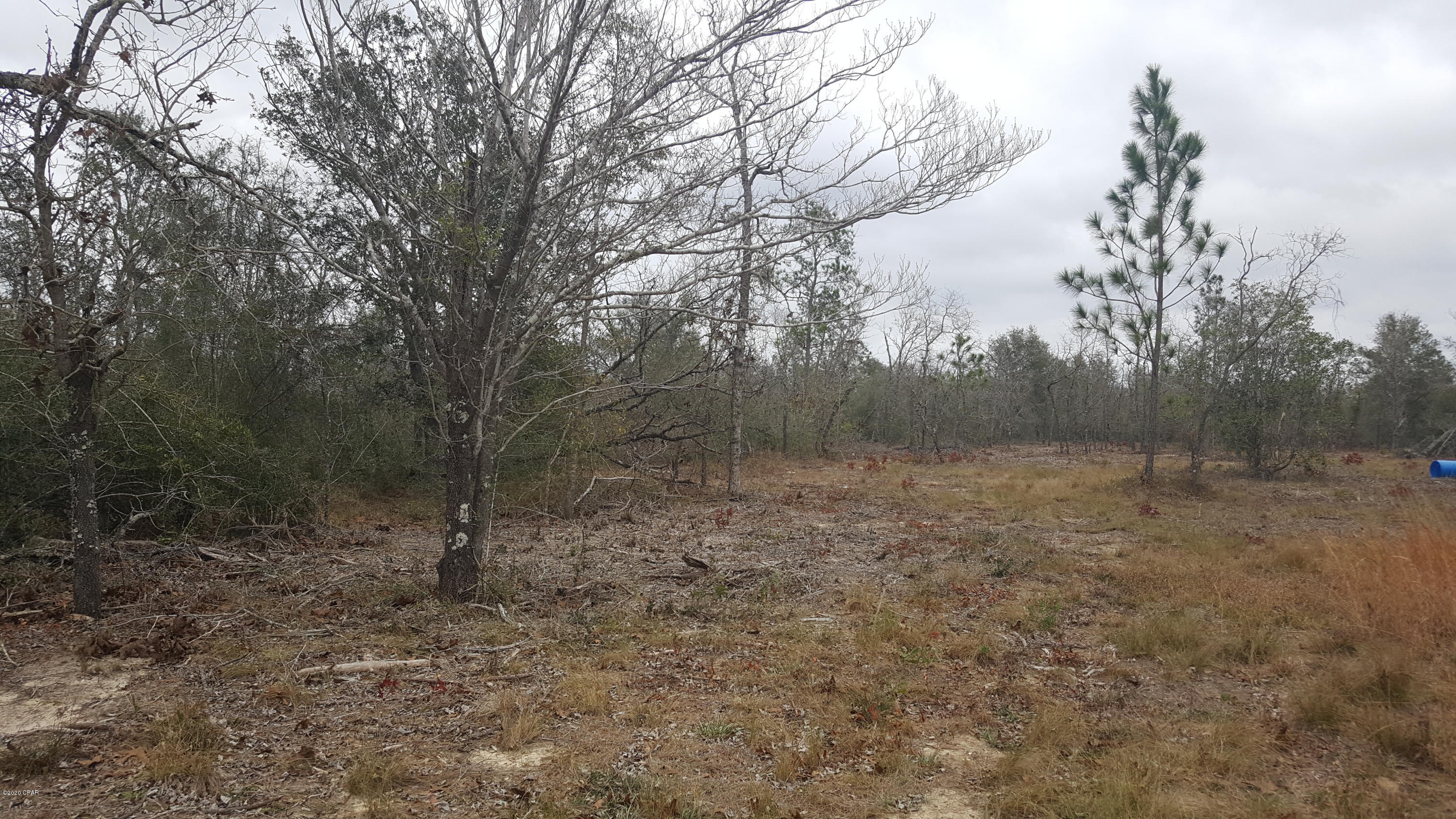 Buckhorn Creek - Land