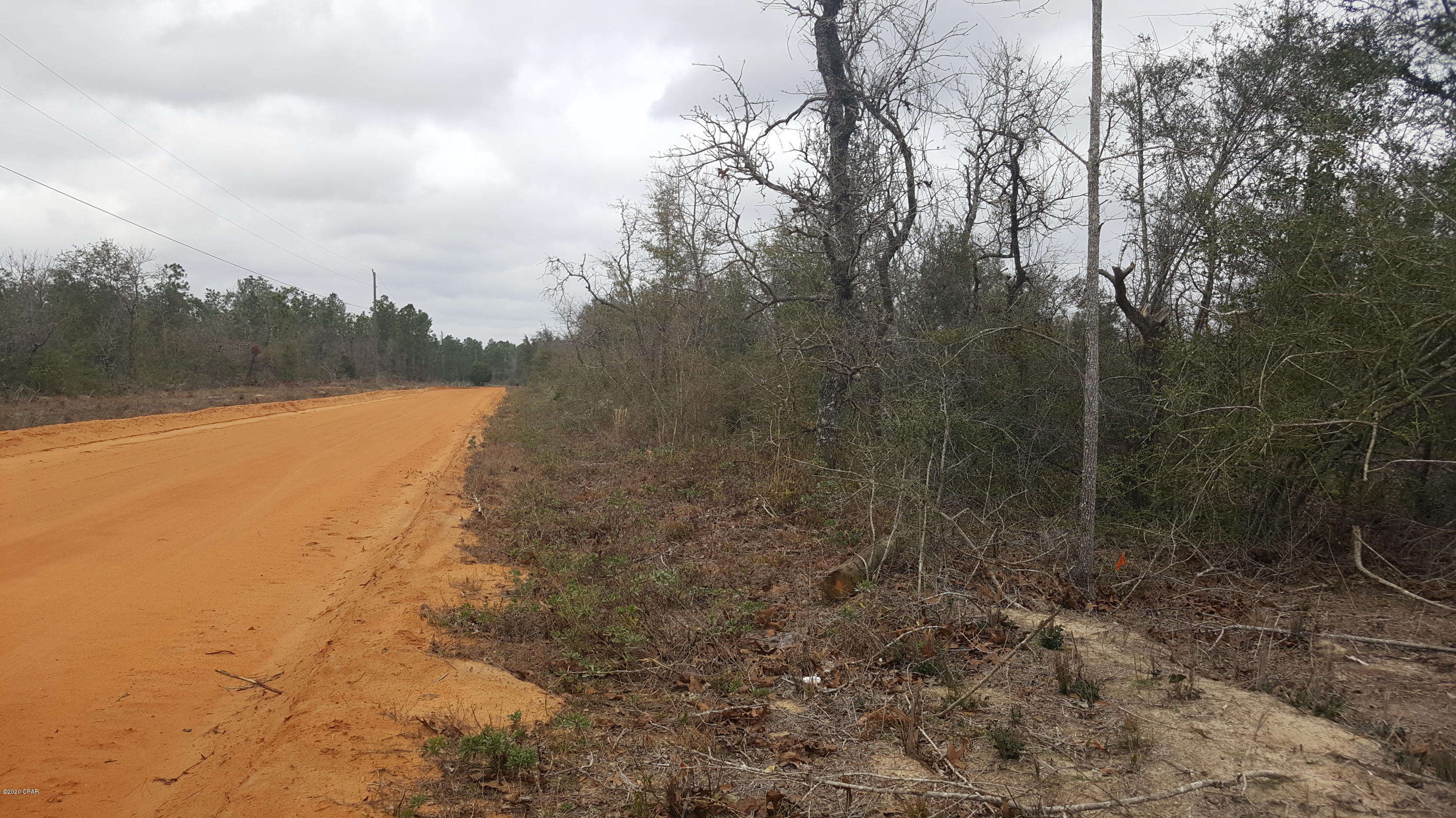 Buckhorn Creek - Land