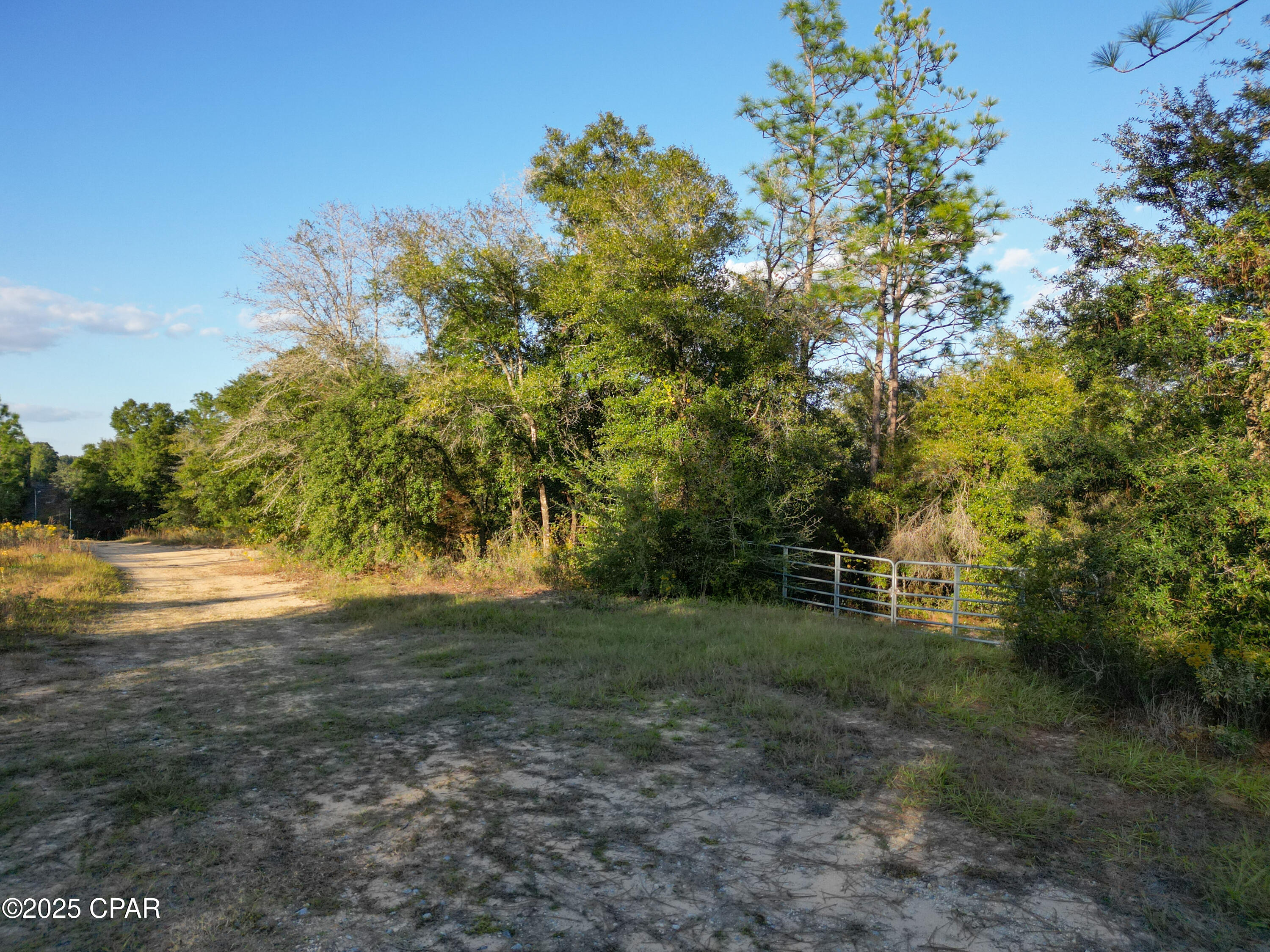 Grassy Pond Ranch - Land