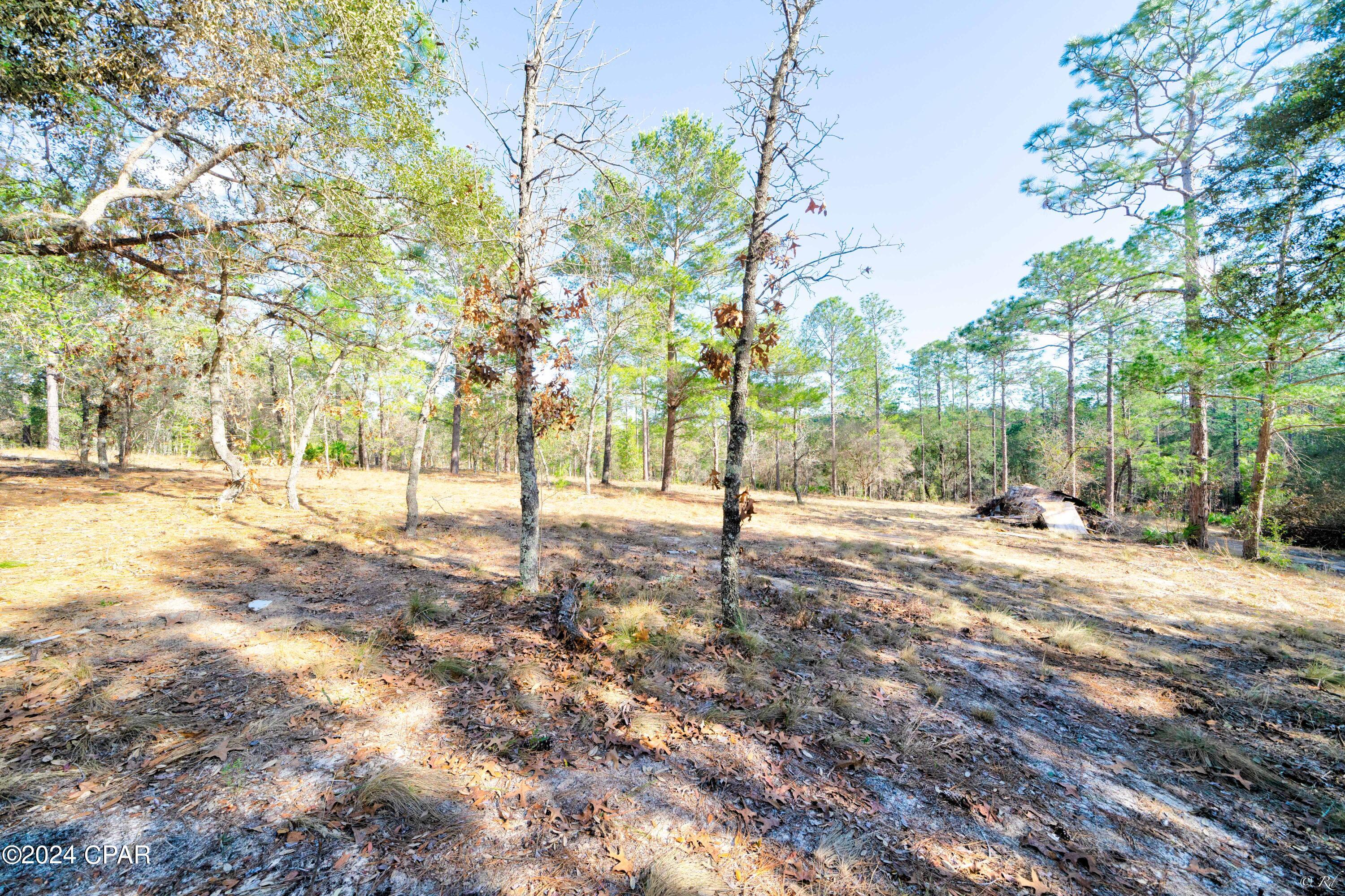 Grassy Pond Ranch - Residential