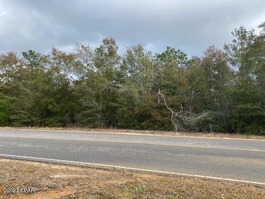 NICE lot on a paved road!! No thinning of trees so you can plan to build and have the choice of what to remove.  In the growing area of Mossey Head just west of the City of DeFuniak Springs, FL