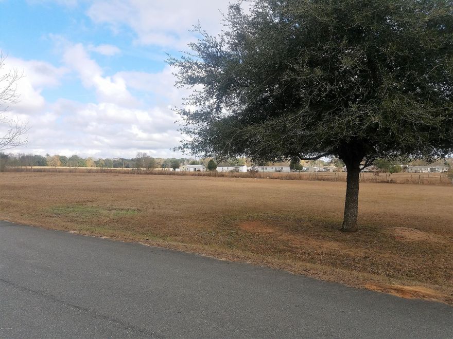 Cleared and level lot on a paved road in the city limits, city water and sewer available.