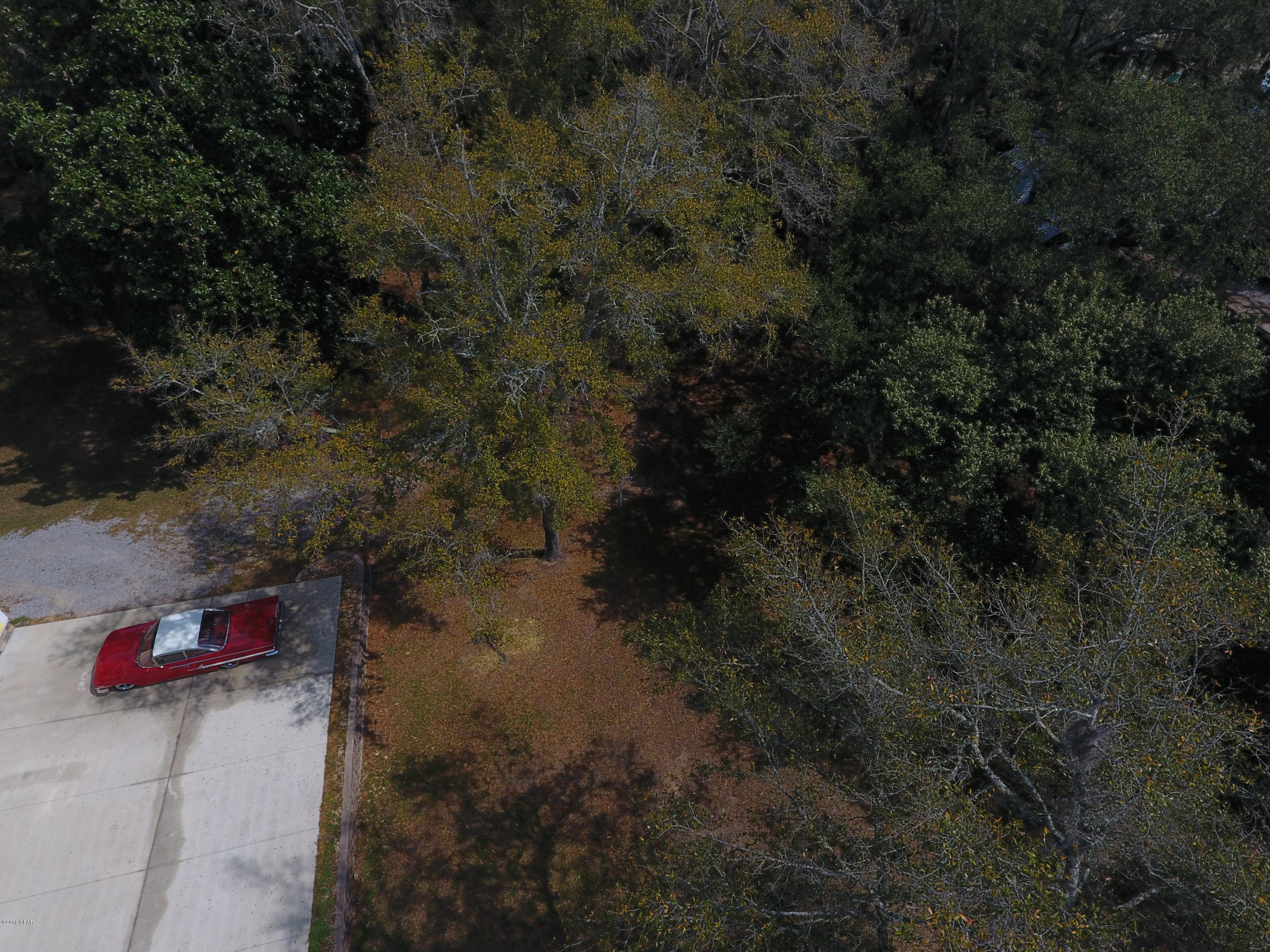 Hinson & Blackmon - Land