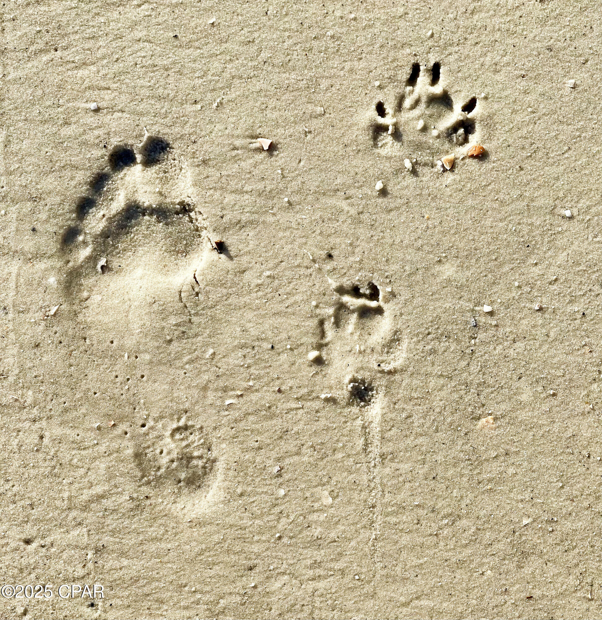 No Named Subdivision - Land