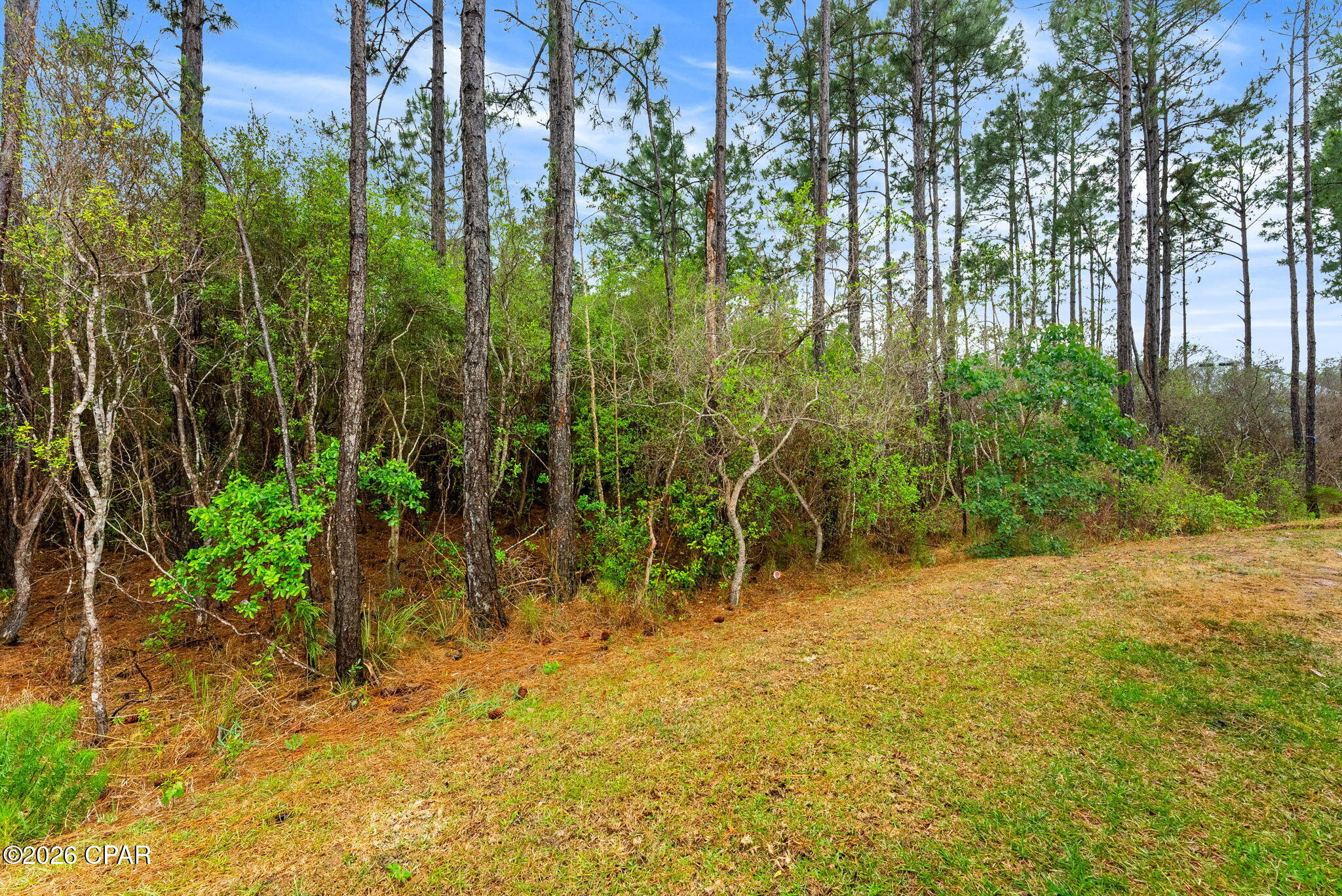 Bayside at Ward Creek - Residential
