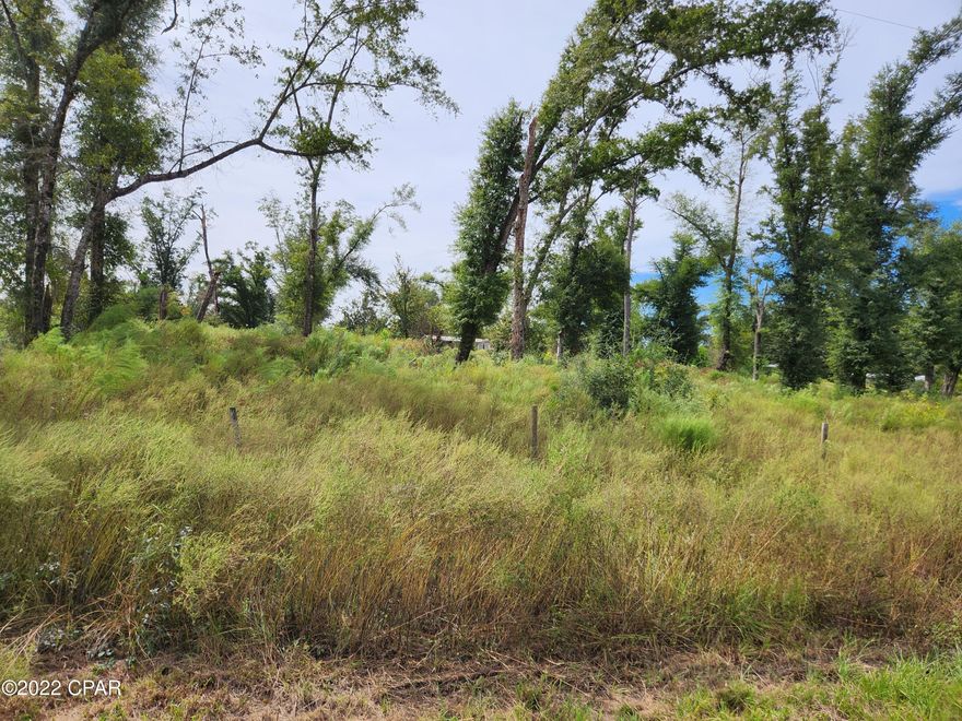 Nice gently sloping 3.5 acre lot in the country.  There was a well and septic installed in 2003, current owner has no knowledge if either are in working order.  Nice trees and a gate at entrance with a road that leads up to homesite.  Owner is having storm damaged mobile home removed.