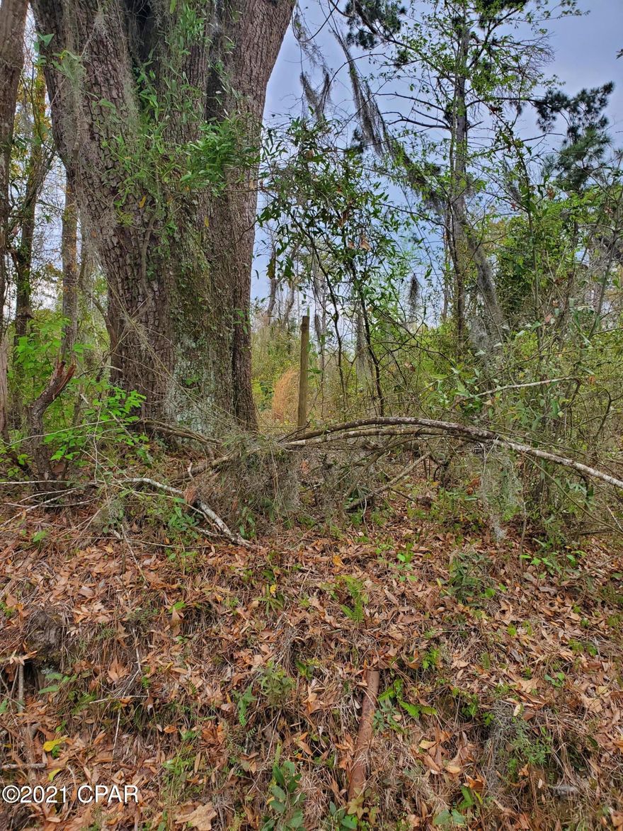 4.92 acres of vacant land located across from Lake Seminole