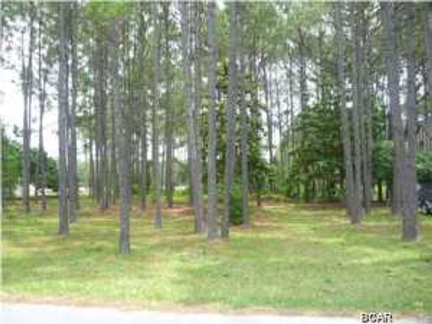 FABULOUS LOCATION JUST OFF OF THOMAS DR., to build your dream home! Quiet street with long time residents, this lot backs to the Navy Base so you will have a beautiful nature backdrop to your back yard, giving you privacy...and only 3 sides to fence!