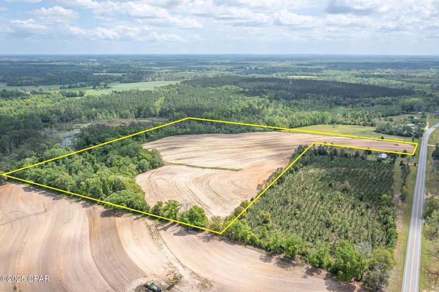 Beautiful potential homestead property with ample room  for small farm/ranch, horses, or cattle.   There is approximately 233 feet of road frontage, a total of 28.48 acres, with access to a pond in the back corner.  There are two power poles on site with a well.  The property is on a paved road and located between the towns of Graceville and Bonifay.