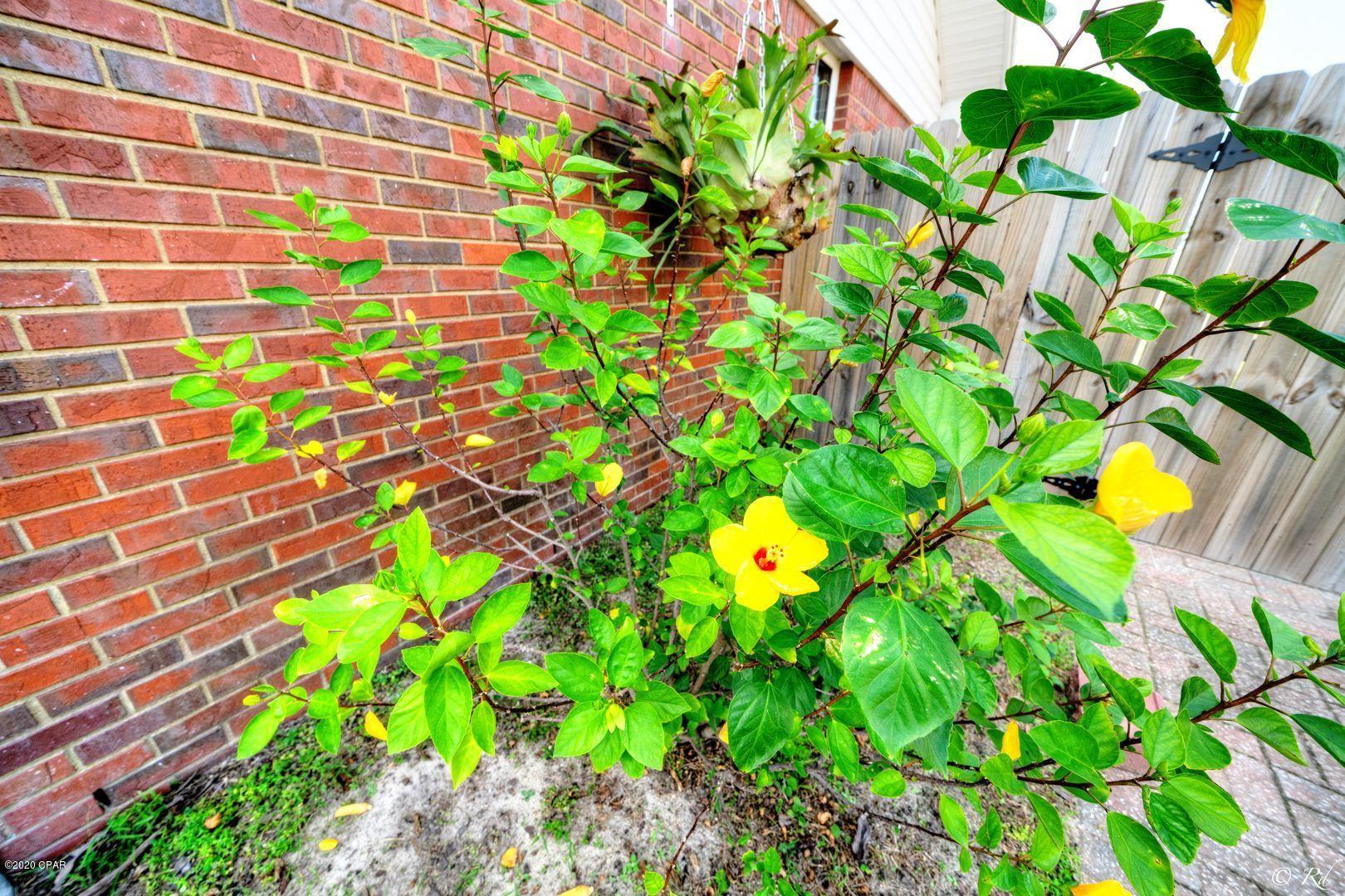 Forest Park East - Residential