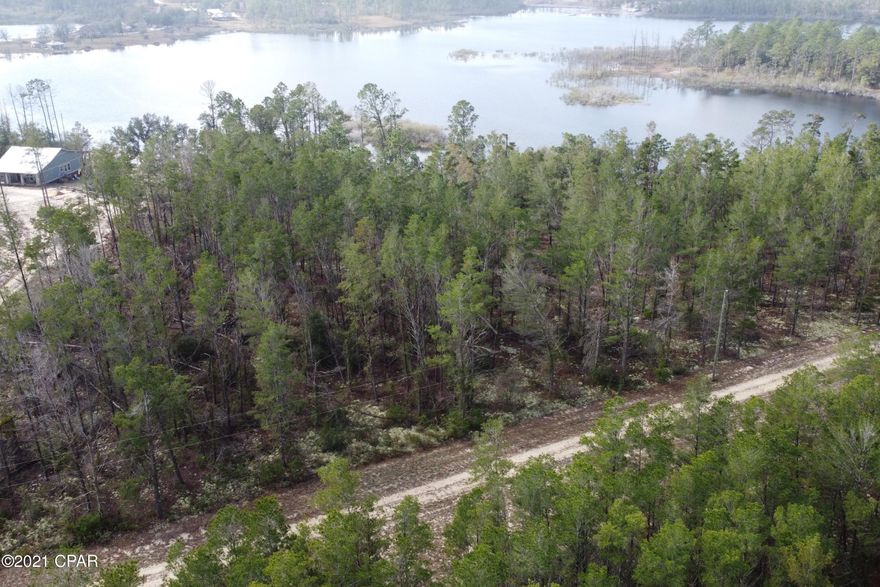 WATERFRONT ON THE LAKE! This listing is for Parcel #5 in Long Lake Estates. A private community located approximately 35 minutes from Panama City and Chipley. Would make a great place for a dream or 2nd home. Dare to enjoy the beauty of nature on several acres. Catch some fish or take a dip in the lake on those hot summer days. Need more to do? Or more land you say? Adjoining parcel #6 is available as well MLS#708080. Long Lake Estates is bordered to the North across Greenhead Rd and to the East by Econfina Creek Wildlife Managment Area which encapsules 41,000 acres. The managment area has many ponds, horse back riding trails, camping sites, and of course public access to the refreshing cold water Williford and Pitts Springs that feed Econfina creek.