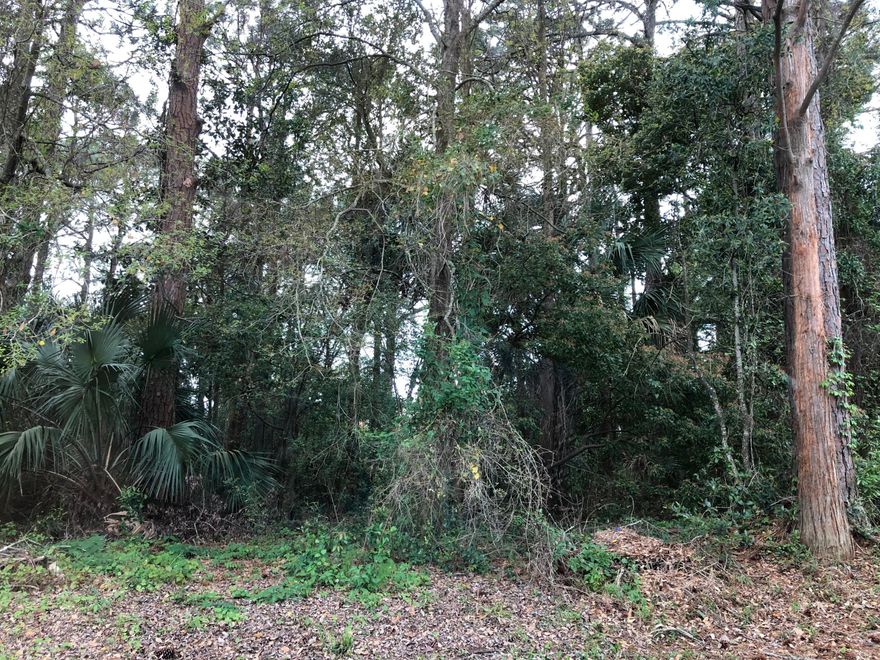 Well Established waterfront neighborhood, centrally located to town and beach area. There are not many lots left on the beach that are 1/4 of an acre.  There is not an HOA, but a Woodlawn Club if you would like to be a member. Public water and sewer available.  There are 2 vacant lots side by side, the lot for sale is located next door to 210 Sunset Lane.