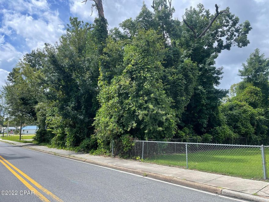 Almost 0.5 acres in downtown Marianna. This property is in prime location and is zoned Mixed Use,  Located close to Jackson Hospital and other doctors offices, shopping and restaurants.  The property has natural growth on it right now, and has access points on Carters Mill Road and Kelson Ave.