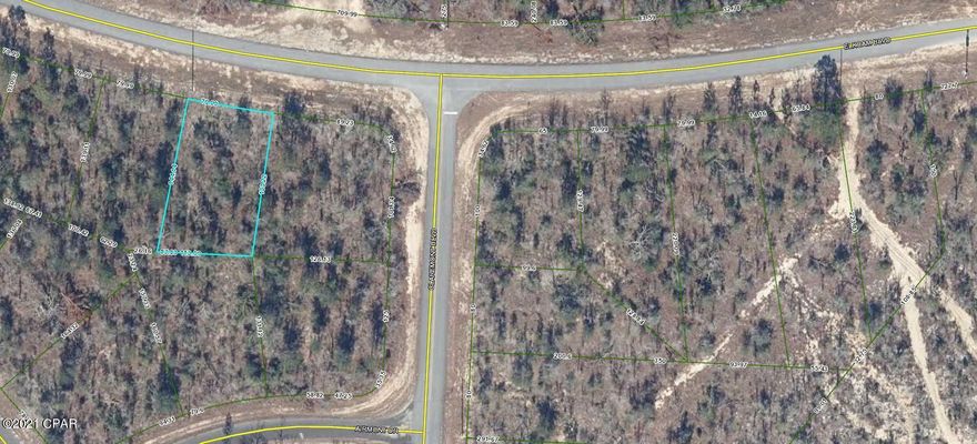 Nice building lot in Sunny Hills. Lot is mostly wooded and on paved road. Sits on the north side of Sunny Hills so enjoy the country setting. Several fishing lakes in the area, golf course and Boat Lake for seasonal paid swimming. Approx. 45 minutes from Panama City Beach. Buyer to pay for owners title policy/search fee, stamps on deed, and title company closing fee.