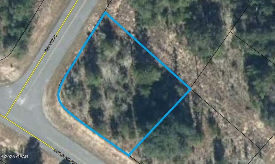 Discover one of the most desirable corner lots in the rapidly flourishing area of Sunny Hills! This impressive quarter-acre corner lot offers the perfect canvas to build your dream home. With its prime location, you'll enjoy both privacy and convenience, surrounded by a community on the rise.Not only does this lot boast an ideal setting, but the adjoining quarter-acre lot is also available for purchase, providing a rare opportunity to expand your space and possibilities. Whether you're looking to invest in a growing neighborhood or create a personal oasis, this property offers limitless potential.Act fast - this exceptional property won't stay on the market for long!