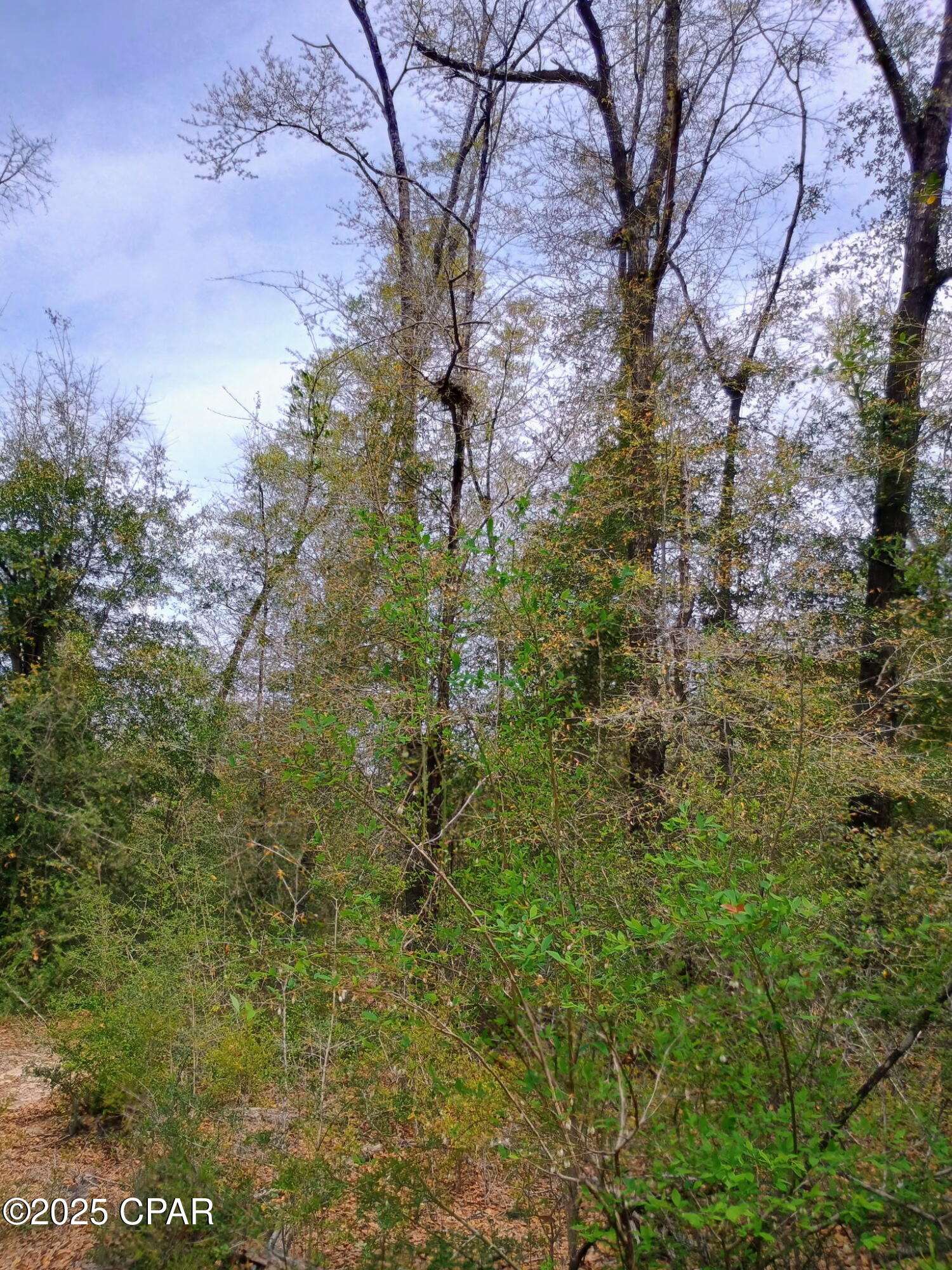 [No Recorded Subdiv] - Land