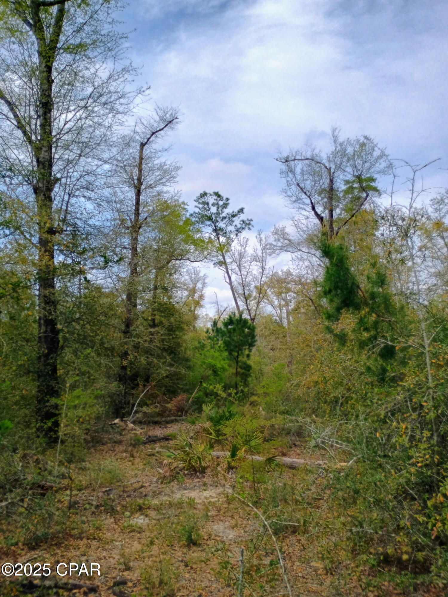 [No Recorded Subdiv] - Land