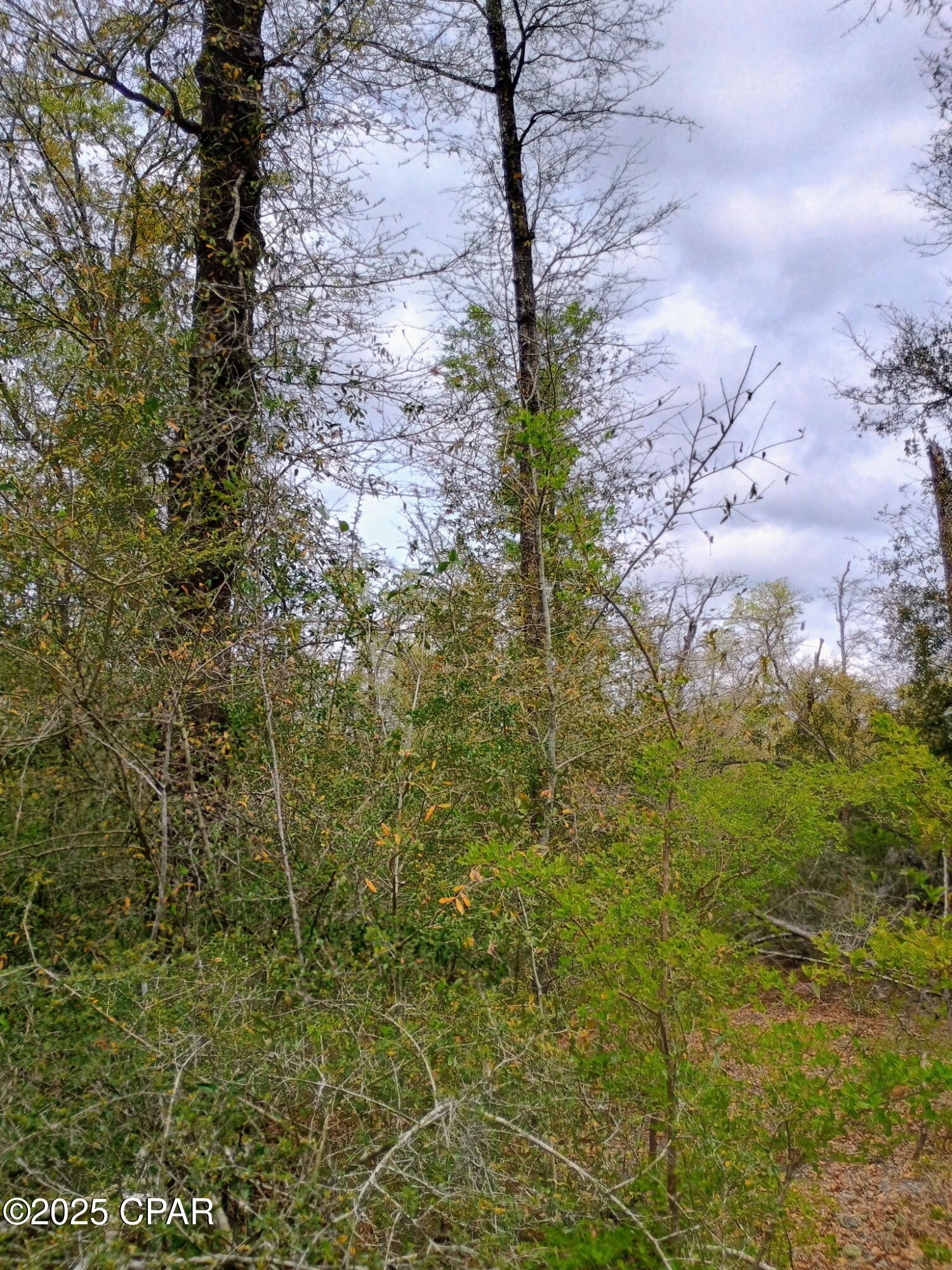 [No Recorded Subdiv] - Land