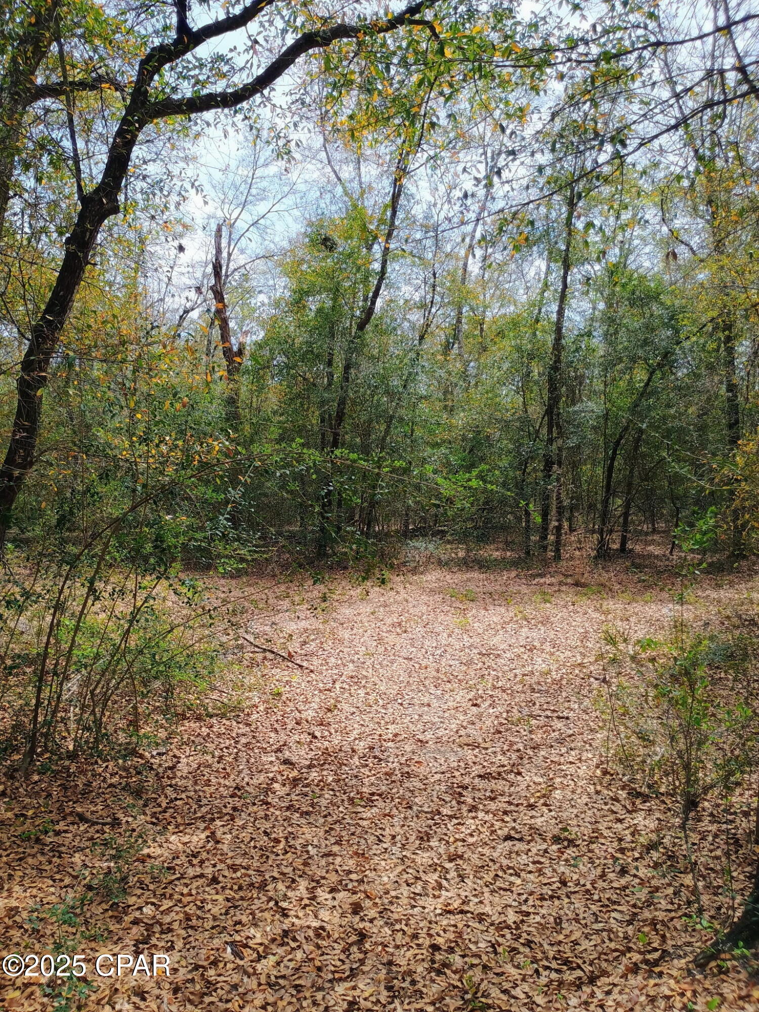 [No Recorded Subdiv] - Land