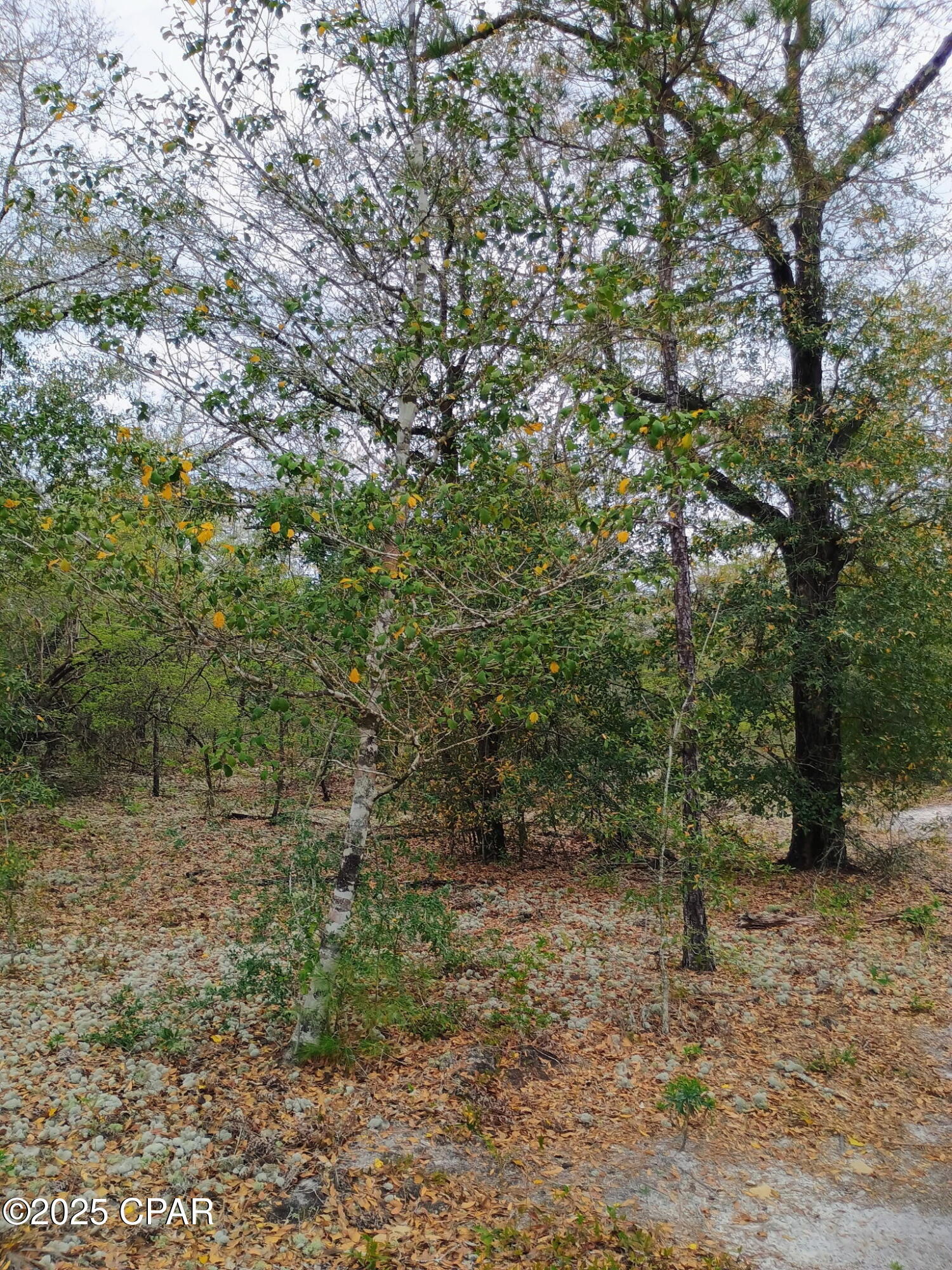 [No Recorded Subdiv] - Land