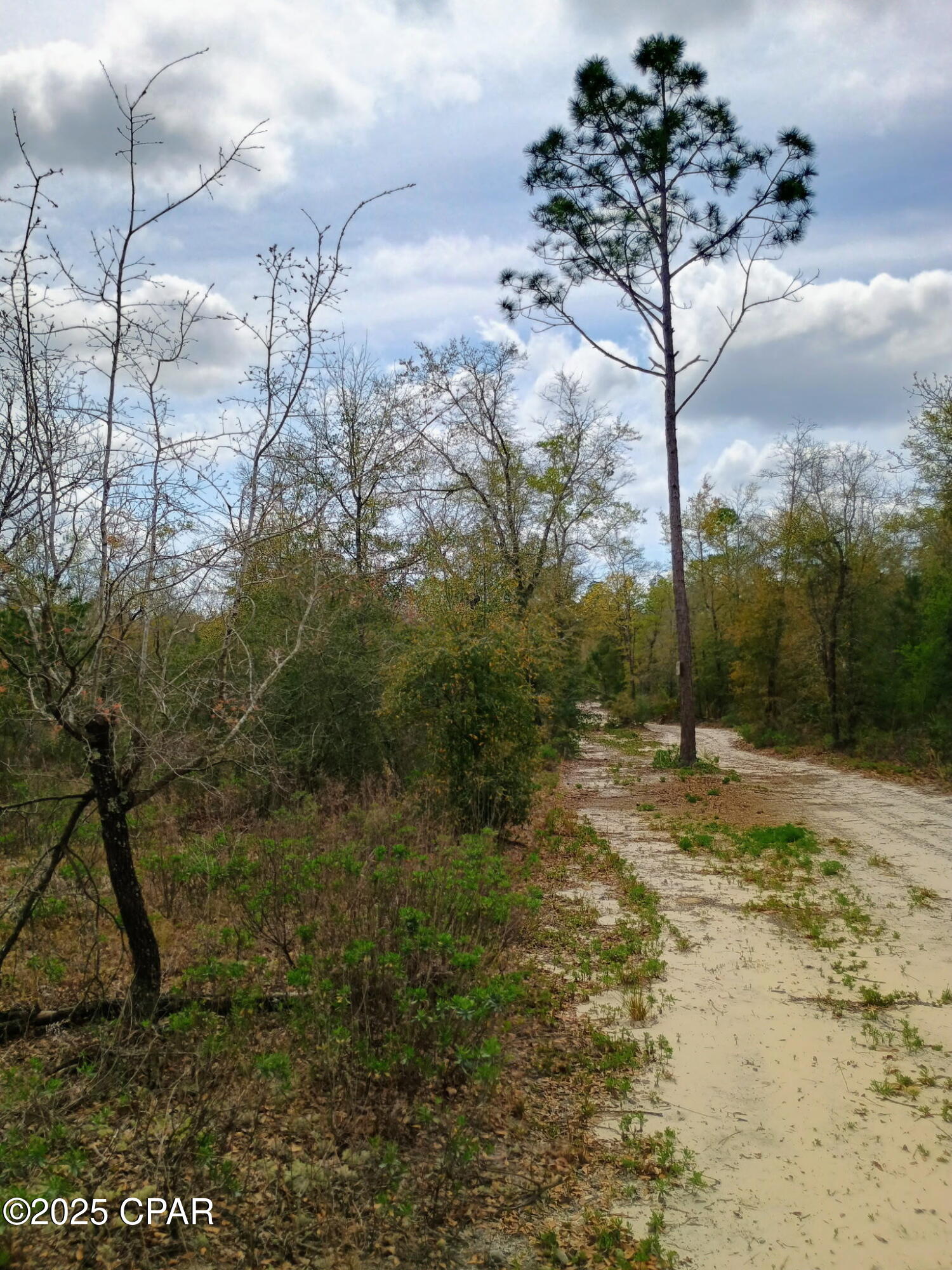 [No Recorded Subdiv] - Land