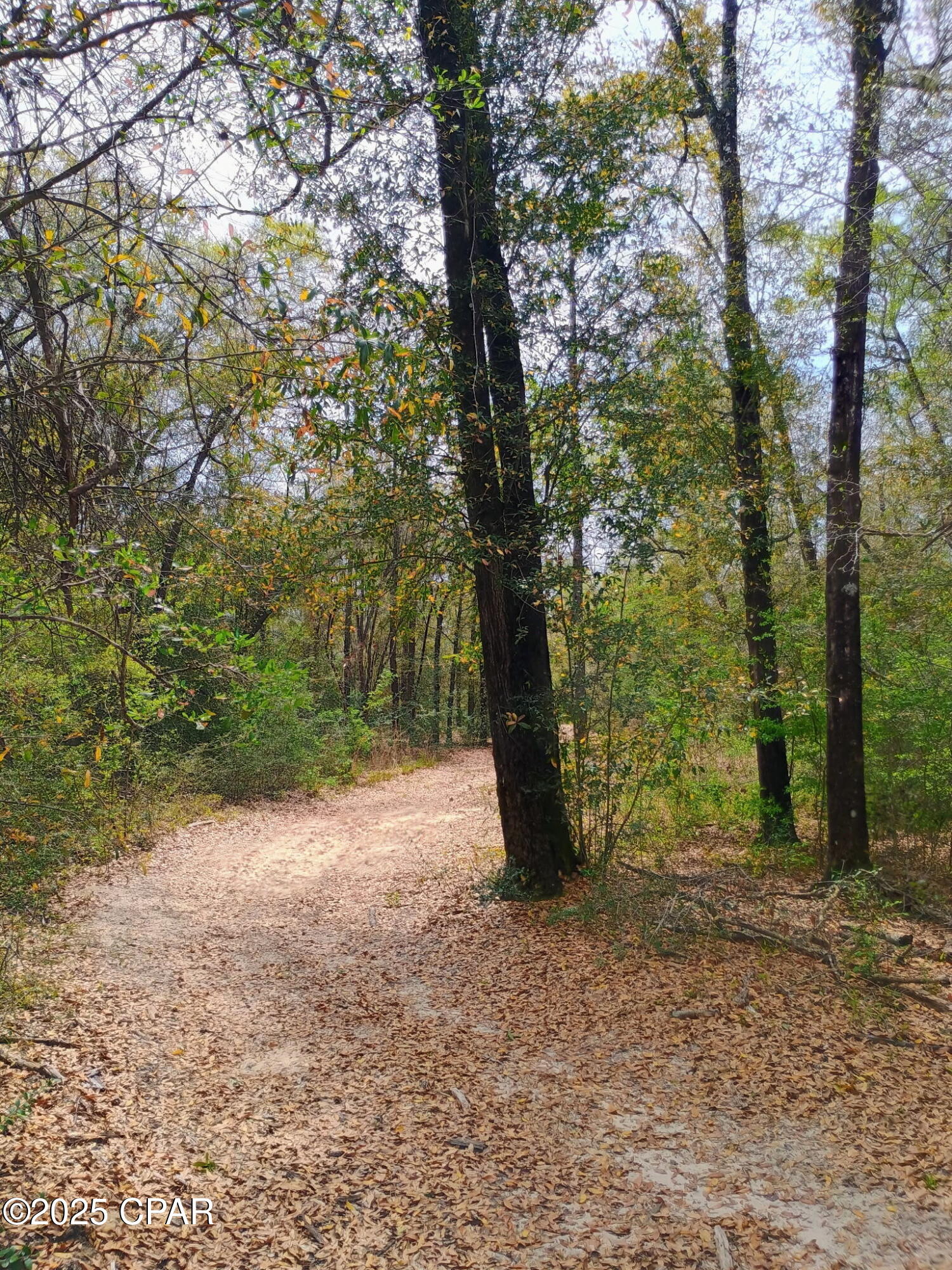 [No Recorded Subdiv] - Land