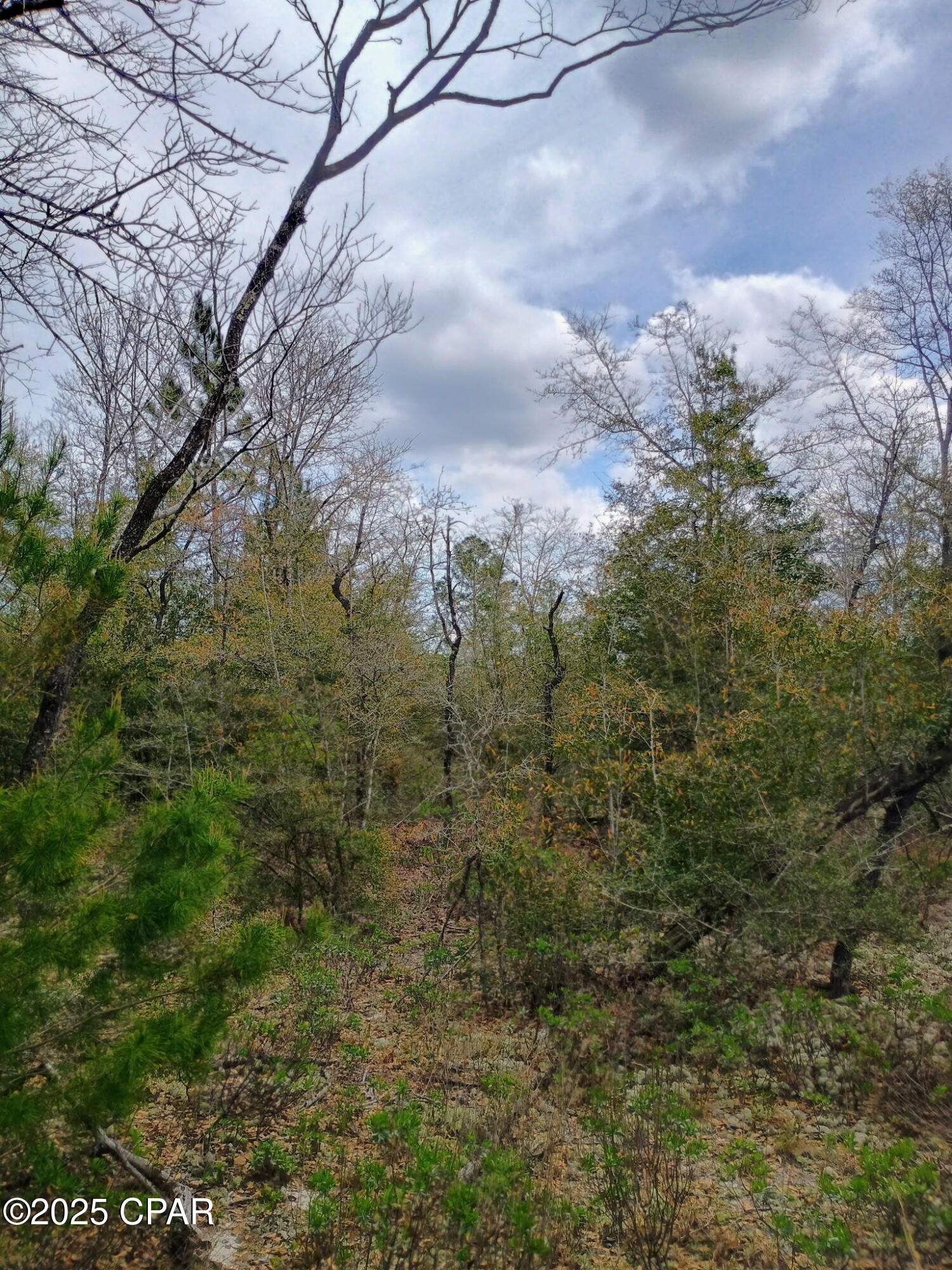 [No Recorded Subdiv] - Land