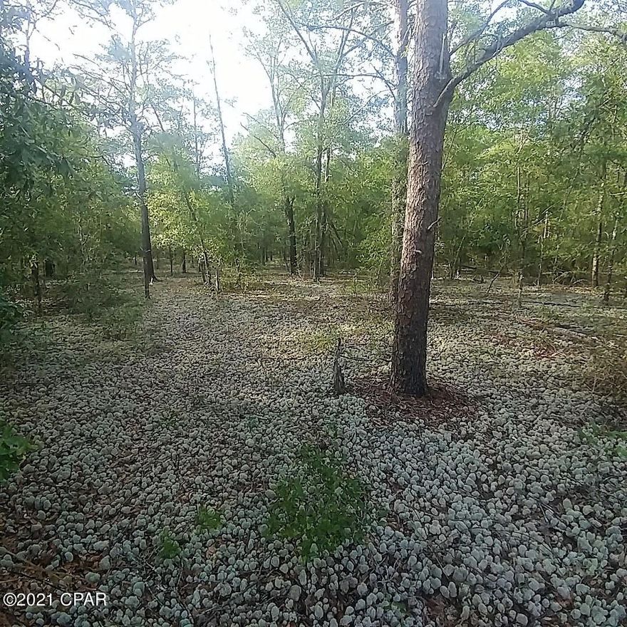 Double lot in a quiet area of Mossy Head, Florida with no visible neighbors. There is plenty of space to build a large home here or mobile homes are allowed.  This lot could be split into 2 lots or put your home on both lots and keep some of the wooded area for added privacy. Located between Crestview and DeFuniak Springs and only 45 minutes to the beautiful Beaches of South Walton. Feel free to drive by and walk the lot.