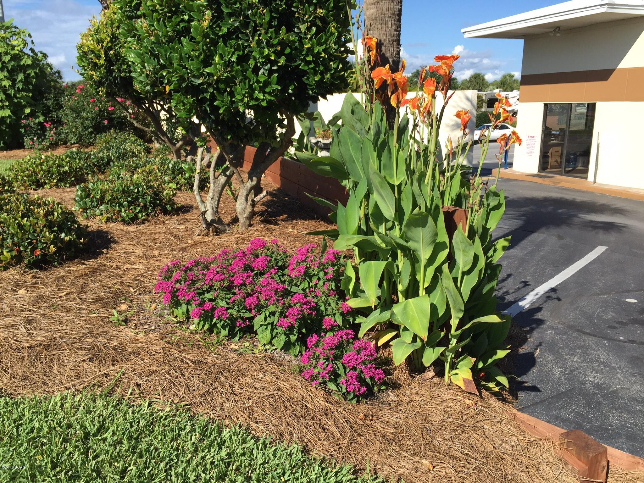 The Commodore - Residential