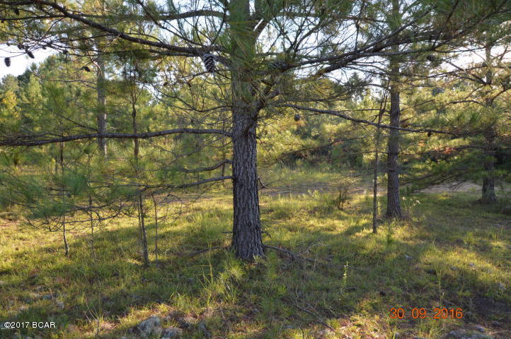 [No Recorded Subdiv] - Land