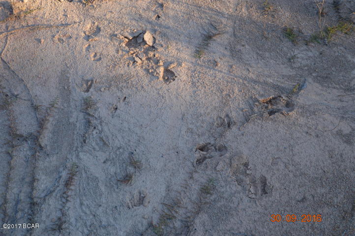 [No Recorded Subdiv] - Land