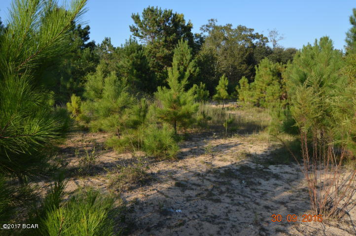 [No Recorded Subdiv] - Land