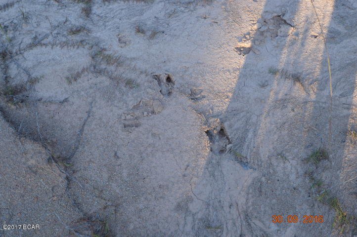 [No Recorded Subdiv] - Land