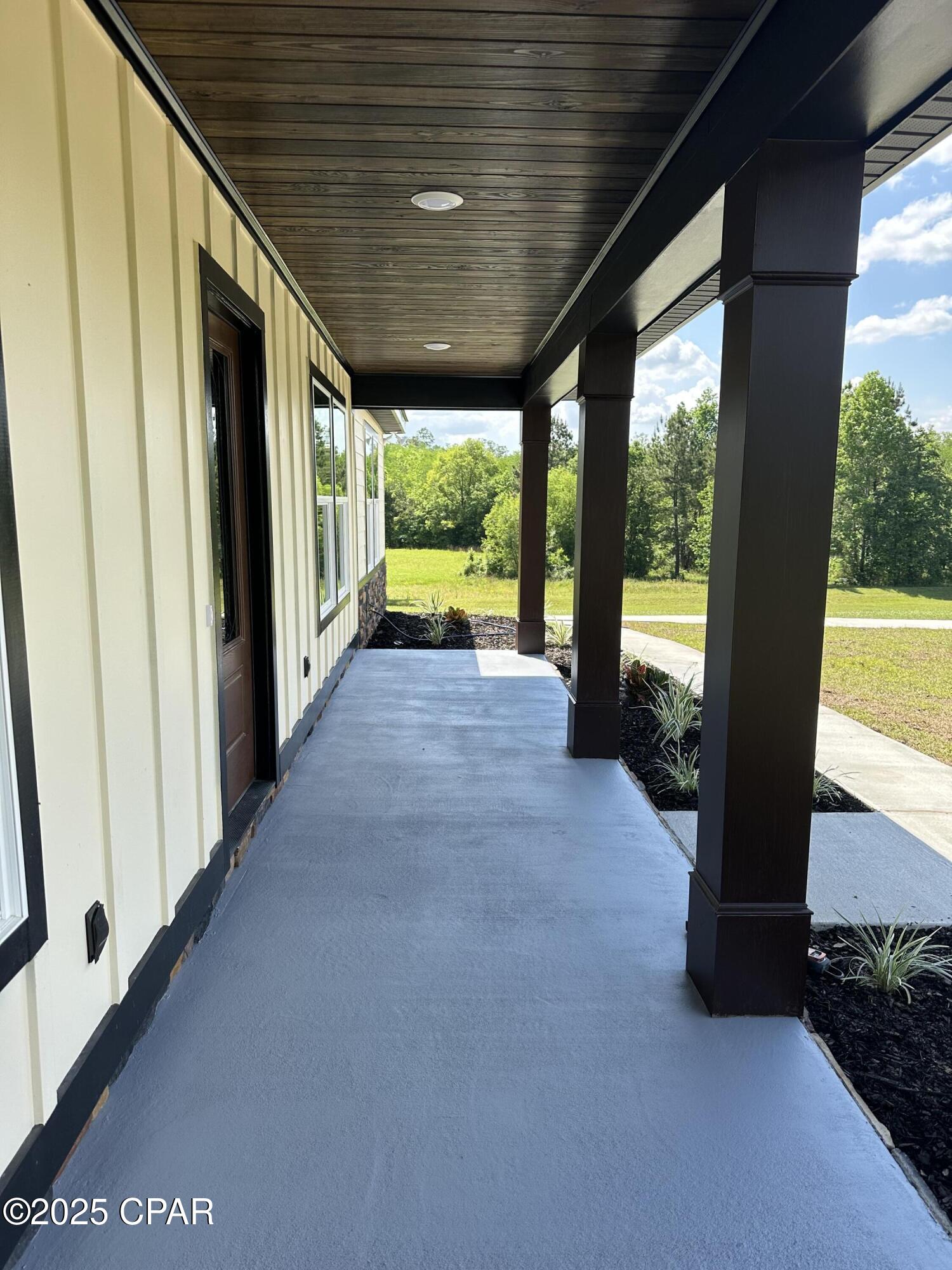 Cypress Tree - Residential