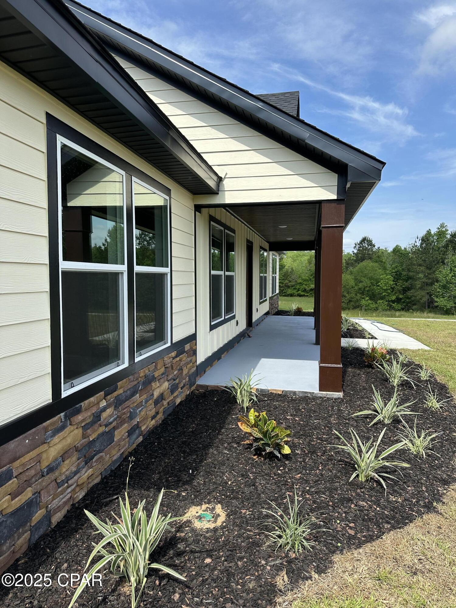 Cypress Tree - Residential