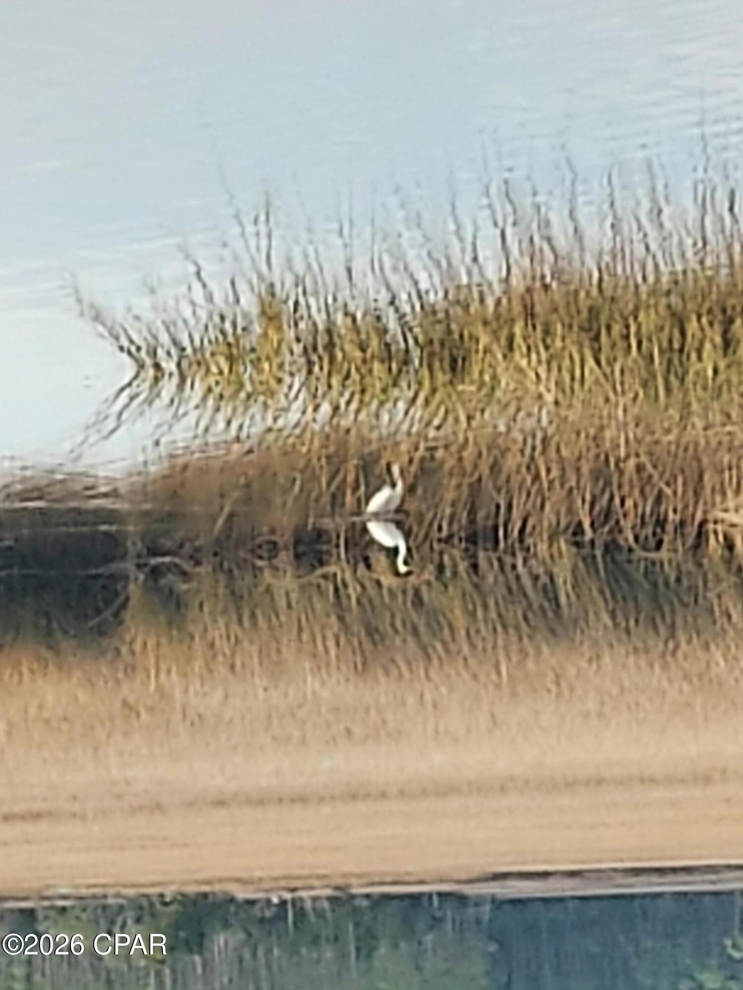 Rivercamps On Crooked Creek - Land