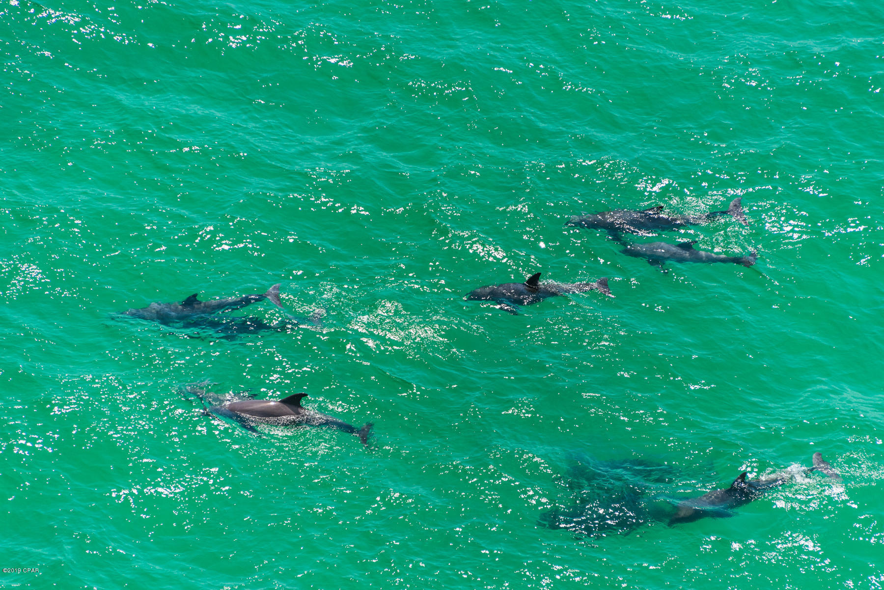 Tidewater Beach Phase I - Residential