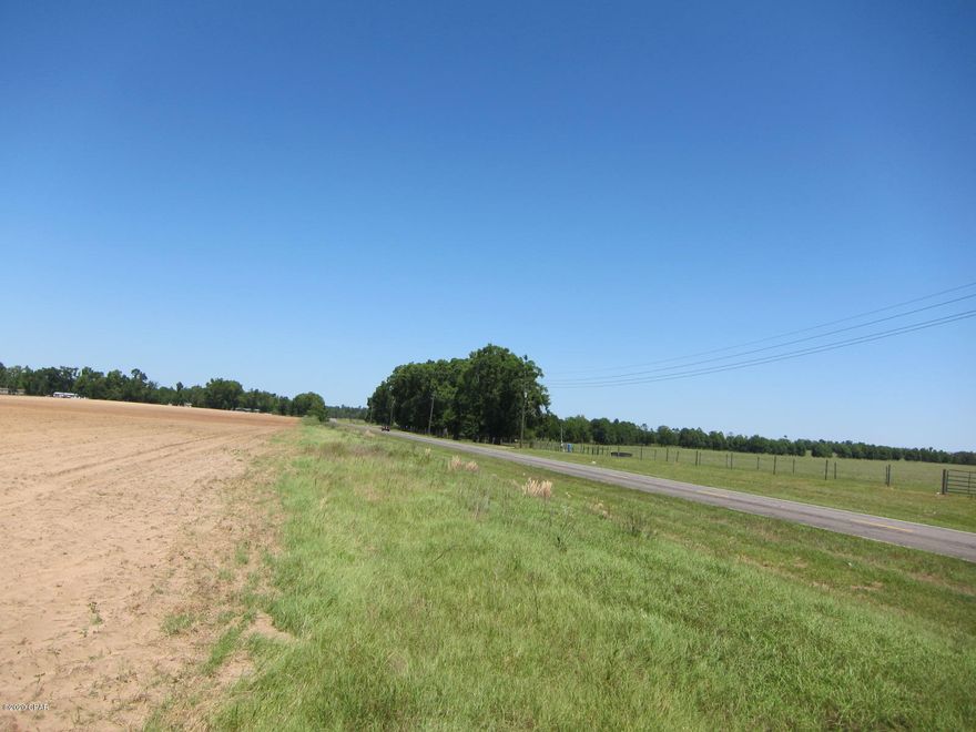 This 10 acres . will be a great home site. Or use as a farming also