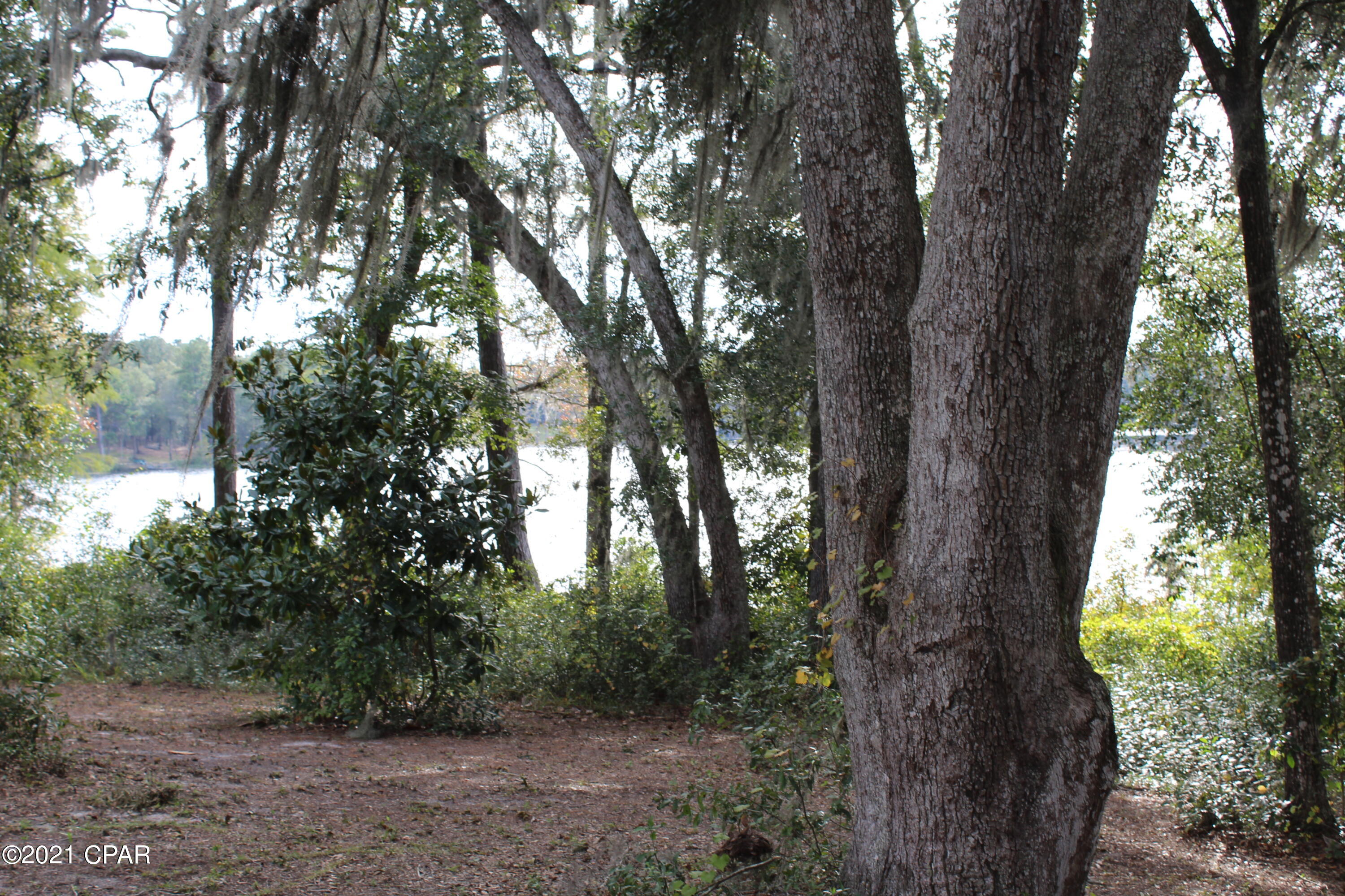 Paradise Lakes - Land