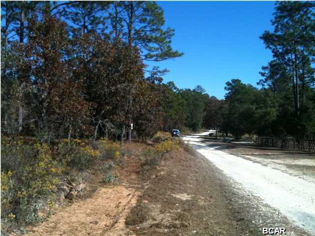 Grassy Pond Ranch - Residential