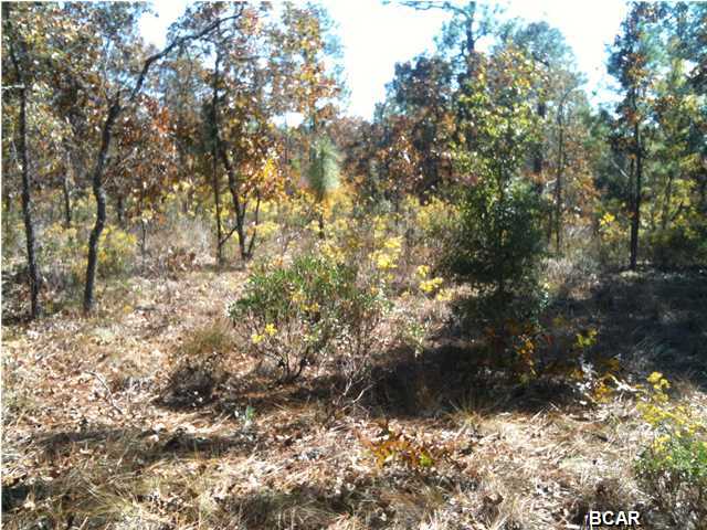Grassy Pond Ranch - Residential