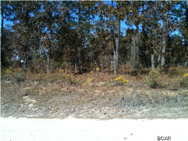 Grassy Pond Ranch - Residential