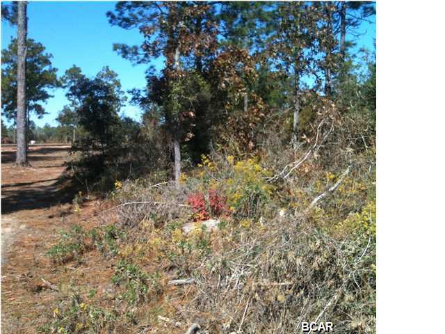 Grassy Pond Ranch - Residential