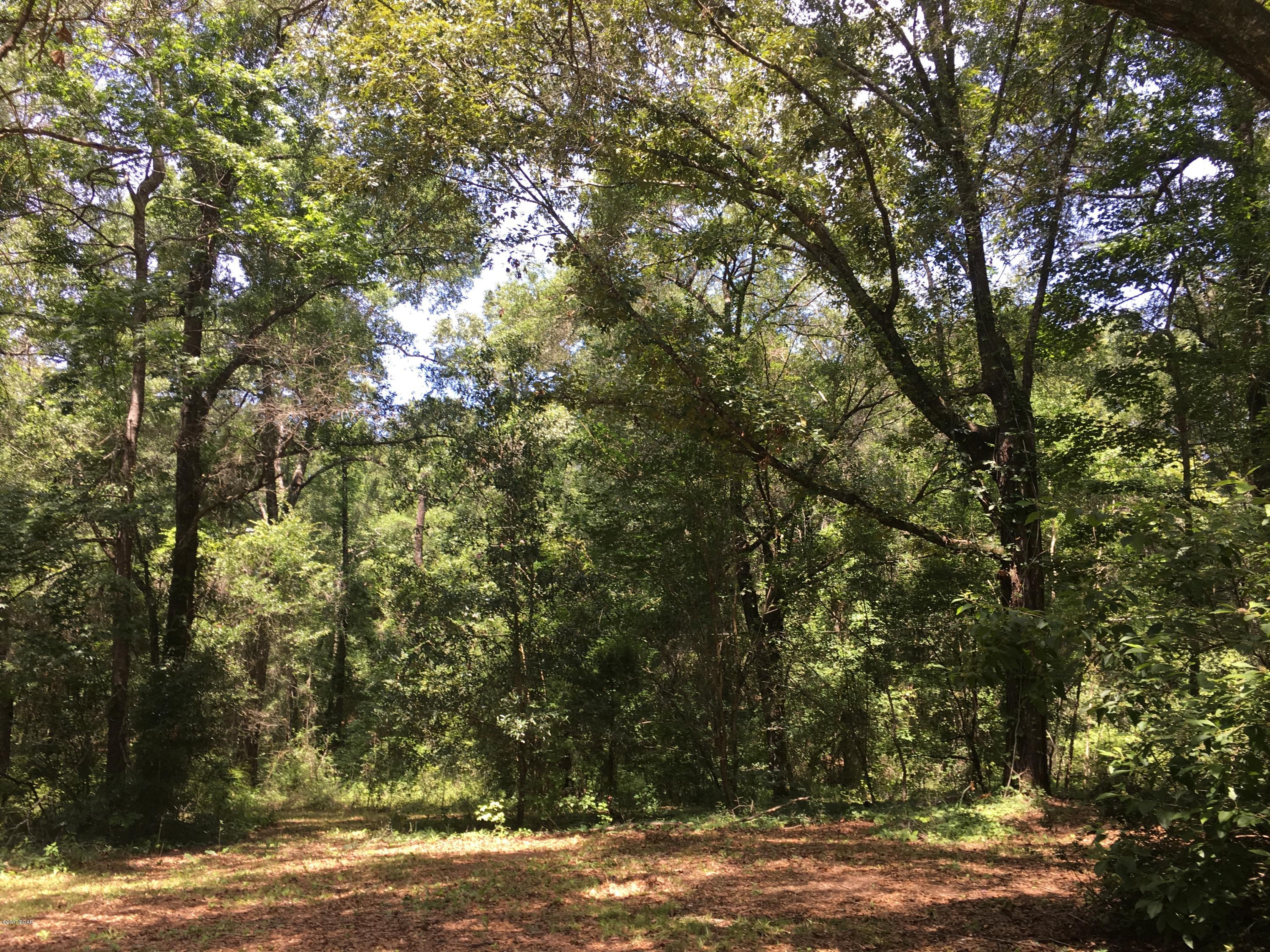 Indian Springs - Residential